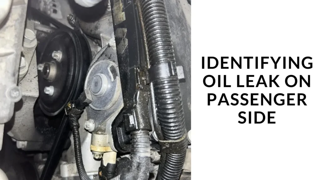 Identifying Oil Leak on Passenger Side