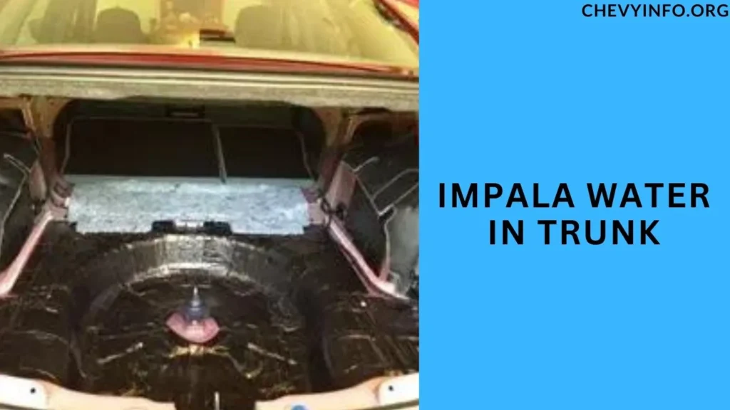 Impala Water in Trunk