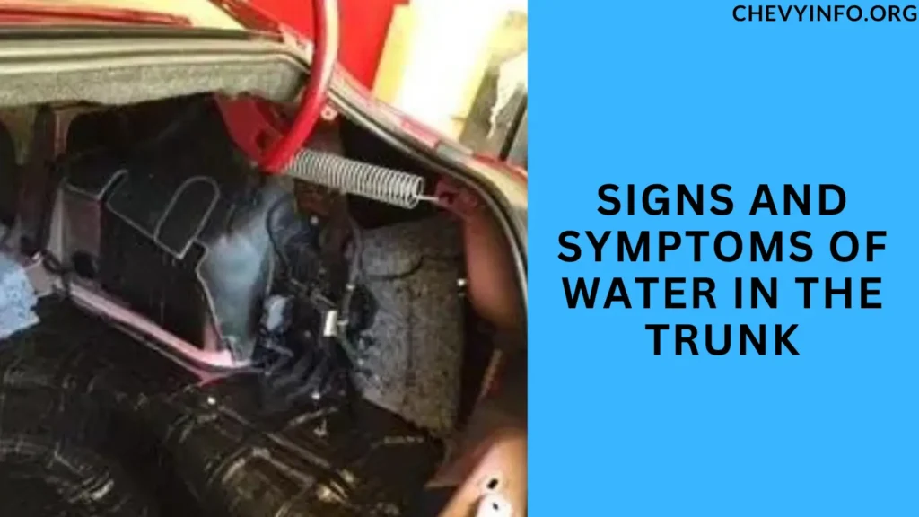 Signs and Symptoms of Water in the Trunk